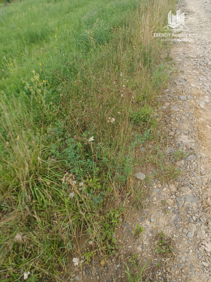 Stavebný pozemok, Podhorany, okres Prešov