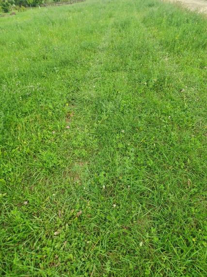 Stavebný pozemok, Podhorany, okres Prešov