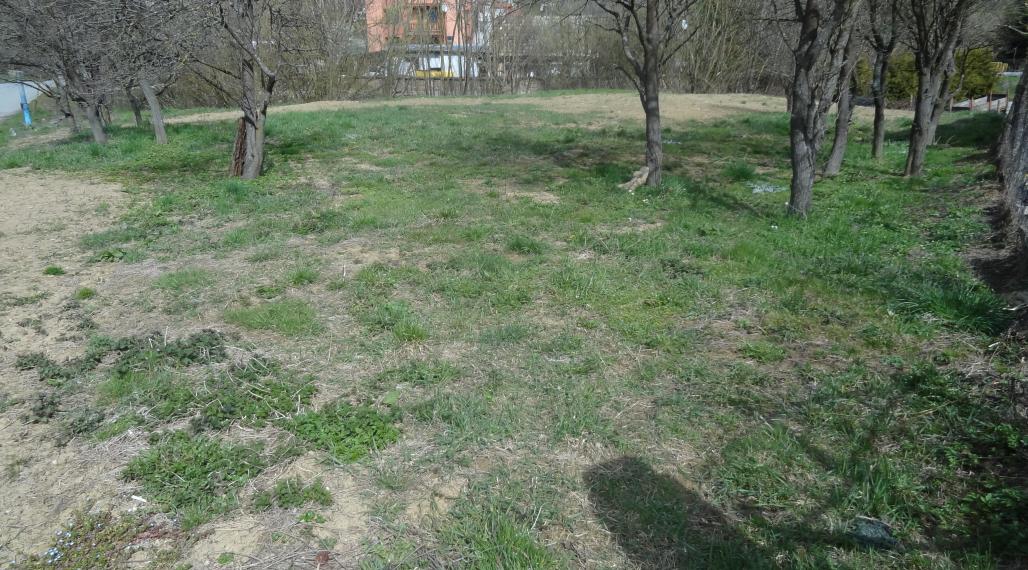 Stavebný pozemok, Lažany, okres Prešov