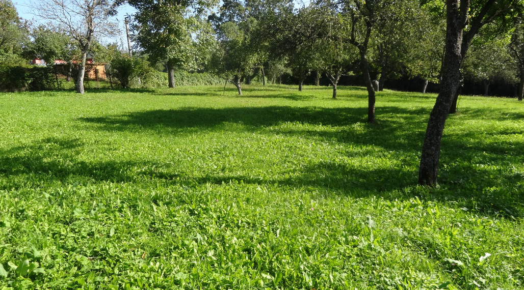 Krásny pozemok na rekreačné a pestovateľské účely, Mirkovce, okres Prešov