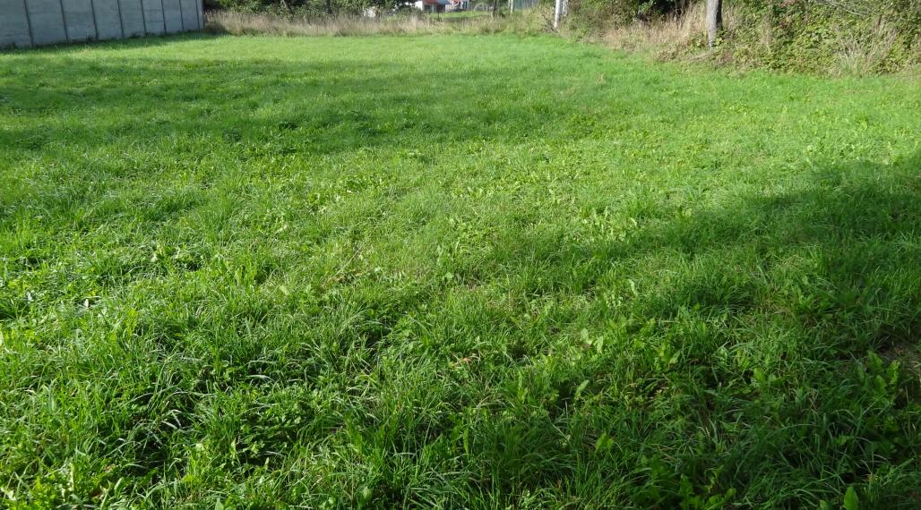 Stavebný pozemok, Bystré, okres Vranov nad Topľou