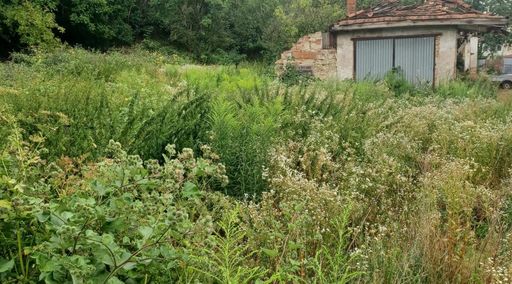 Stavebný pozemok, Košice - Vyšné Opátske, okres Košice IV.