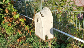 Stavebný pozemok, Červenica pri Sabinove, okres Sabinov - fotografia 5
