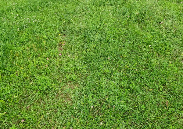 Stavebný pozemok, Podhorany, okres Prešov