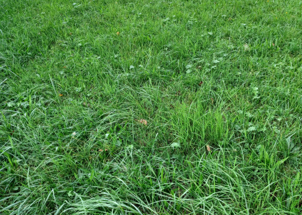 Stavebný pozemok, Hunkovce, okres Svidník