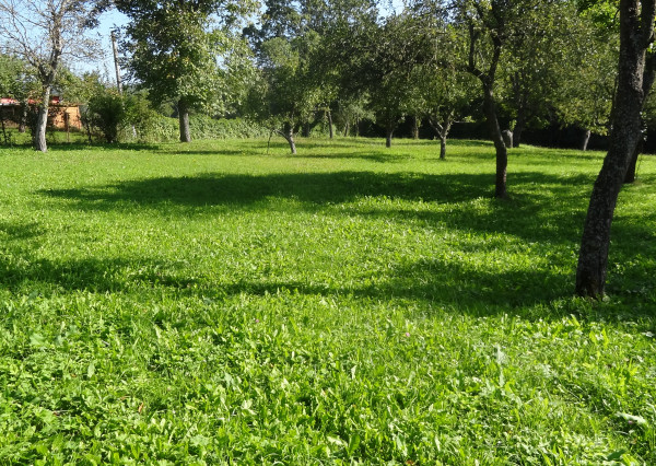 Krásny pozemok na rekreačné a pestovateľské účely, Mirkovce, okres Prešov