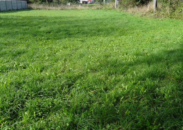 Stavebný pozemok, Ladomirová, okres Svidník