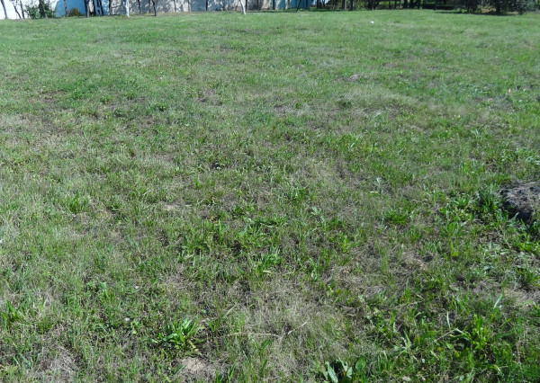 Stavebný pozemok, Župčany, okres Prešov