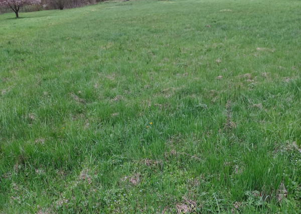 Stavebný pozemok, Hunkovce, okres Svidník