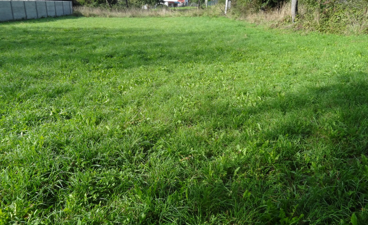Predaj, Stavebný pozemok, Svinia, okres Prešov, Znížená cena
