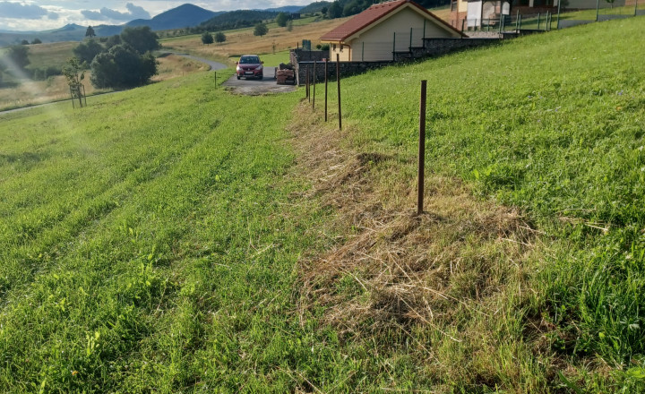 Stavebný pozemok, Červená Voda, okres Sabinov - fotografia 3