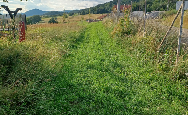 Stavebný pozemok, Červená Voda, okres Sabinov - fotografia 6